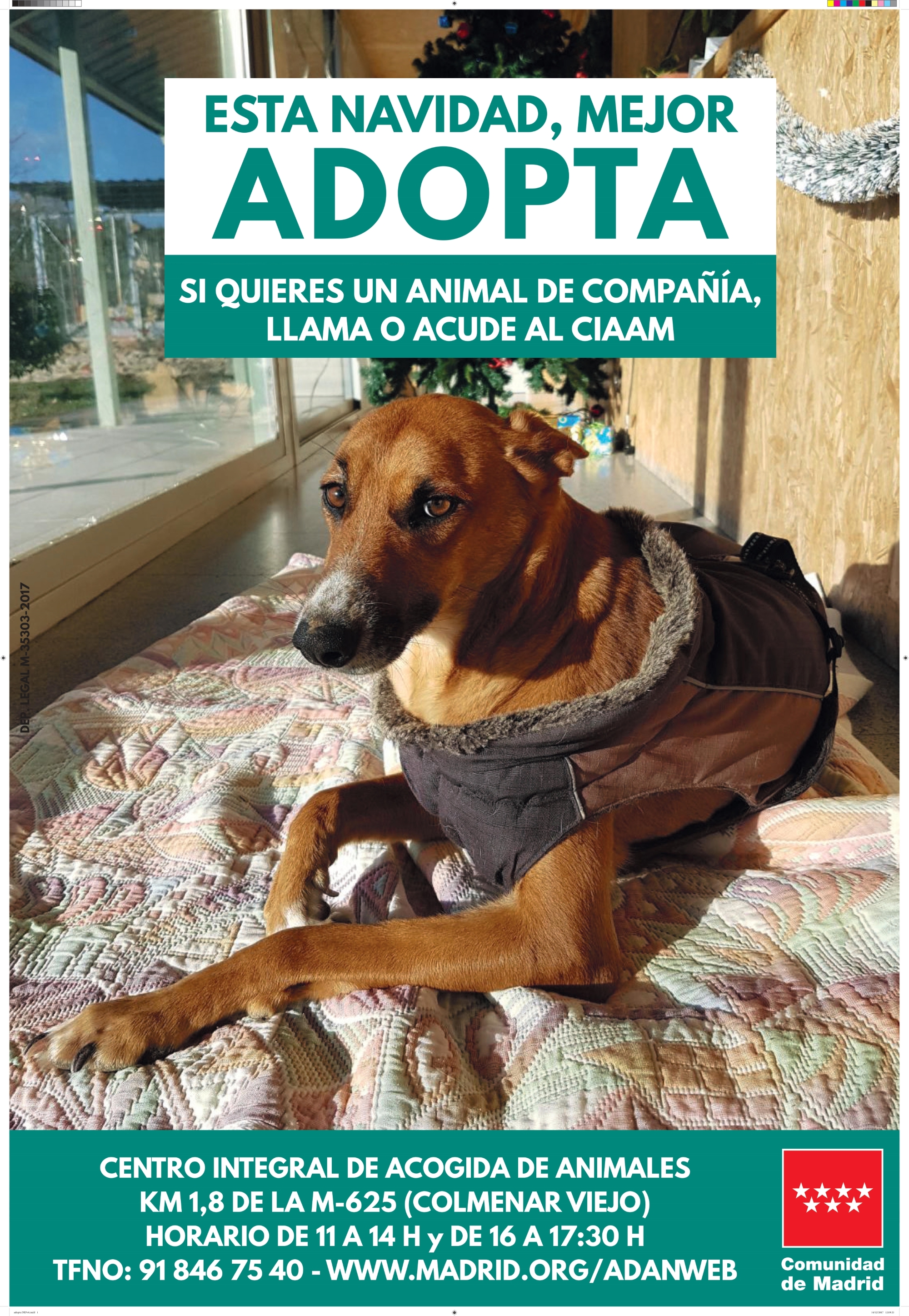 CartelAdopta